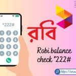 Robi Balance Check